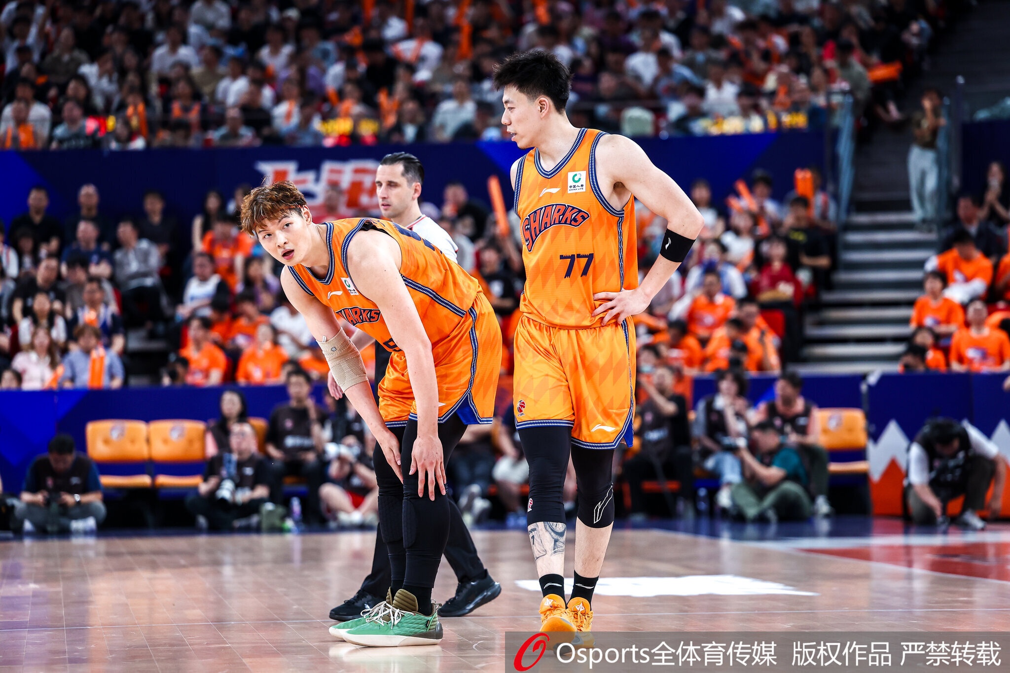 东体:上海休赛期都在围绕胡金秋进行交易谈判 但可能性越来越低