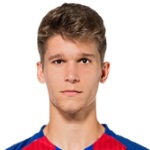 马克·卡多纳